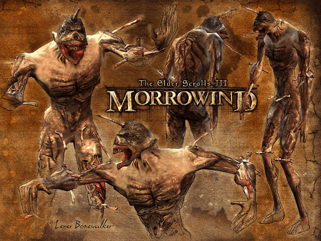 Elder Scrolls III Morrowind title screen for Xbox
